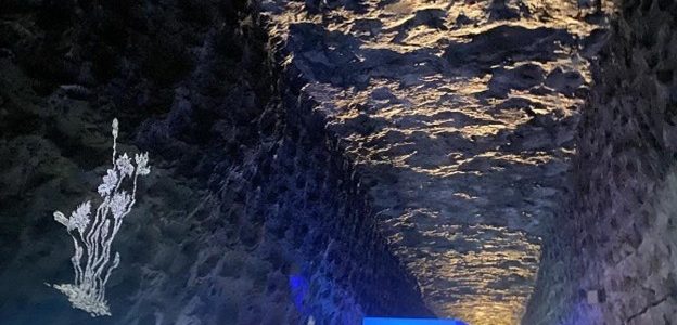 Rückblick Ausfahrt Bad-Friedrichshall – Heilbronn 25.07.2025